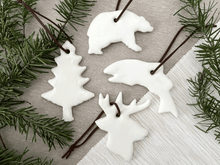 Load image into Gallery viewer, West Coast Wilderness Christmas Ornament Set
